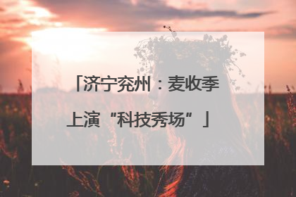 济宁兖州：麦收季上演“科技秀场”