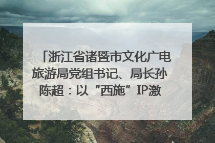 浙江省诸暨市文化广电旅游局党组书记、局长孙陈超：以“西施”IP激活全域旅游 打造县域文旅融合新标杆｜第七届全国县域旅游研究成果发布系列活动