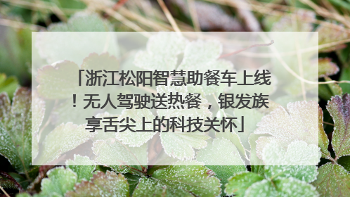 浙江松阳智慧助餐车上线！无人驾驶送热餐，银发族享舌尖上的科技关怀