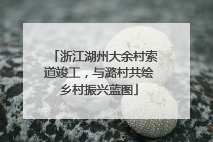 浙江湖州大余村索道竣工，与潞村共绘乡村振兴蓝图