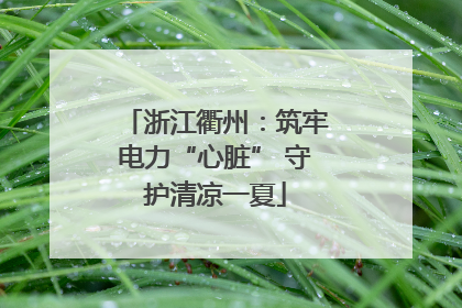 浙江衢州：筑牢电力“心脏” 守护清凉一夏