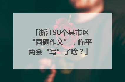 浙江90个县市区“同题作文”，临平两会“写”了啥？