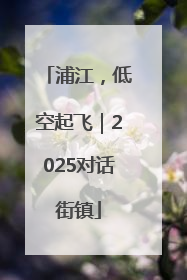 浦江，低空起飞｜2025对话街镇