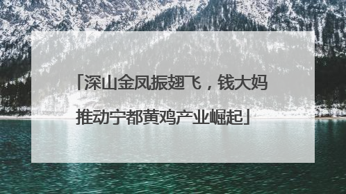 深山金凤振翅飞，钱大妈推动宁都黄鸡产业崛起