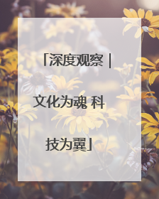 深度观察｜文化为魂 科技为翼