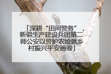 深耕“田间警务”，新疆生产建设兵团第二师公安以警护农绘就乡村振兴平安画卷