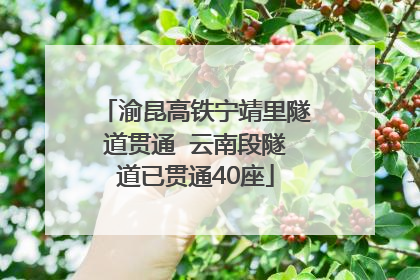 渝昆高铁宁靖里隧道贯通  云南段隧道已贯通40座