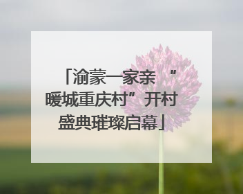 渝蒙一家亲 “暖城重庆村”开村盛典璀璨启幕