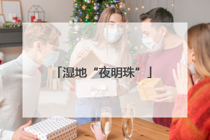 湿地“夜明珠”