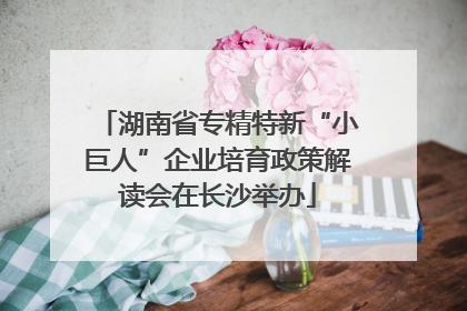 湖南省专精特新“小巨人”企业培育政策解读会在长沙举办