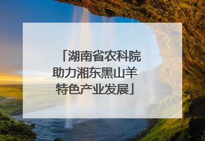 湖南省农科院助力湘东黑山羊特色产业发展
