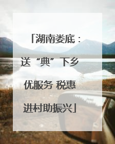 湖南娄底：送“典”下乡优服务 税惠进村助振兴