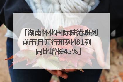 湖南怀化国际陆港班列前五月开行班列481列 同比增长45%