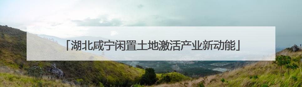 湖北咸宁闲置土地激活产业新动能