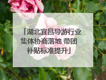 湖北宜昌导游行业集体协商落地 带团补贴标准提升