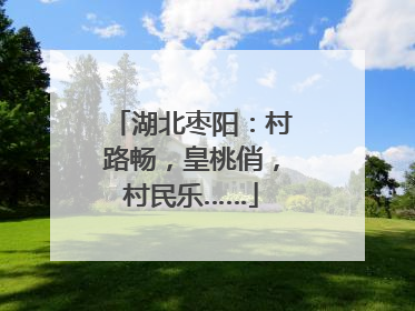 湖北枣阳：村路畅，皇桃俏，村民乐……