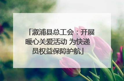 溆浦县总工会：开展暖心关爱活动 为快递员权益保障护航