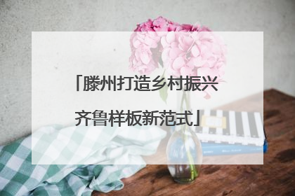 滕州打造乡村振兴齐鲁样板新范式