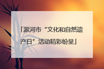 漯河市“文化和自然遗产日”活动精彩纷呈