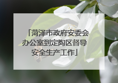 菏泽市政府安委会办公室到定陶区督导安全生产工作