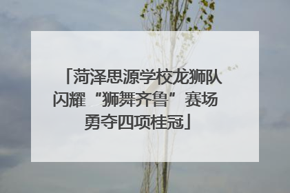 菏泽思源学校龙狮队闪耀“狮舞齐鲁”赛场 勇夺四项桂冠