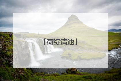 荷绽清池