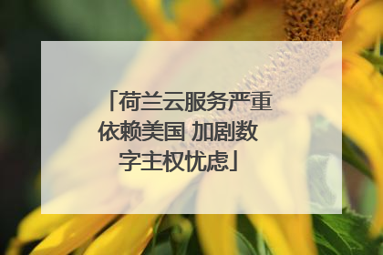 荷兰云服务严重依赖美国 加剧数字主权忧虑