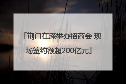 荆门在深举办招商会 现场签约额超200亿元