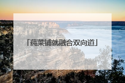 莼菜铺就融合双向道