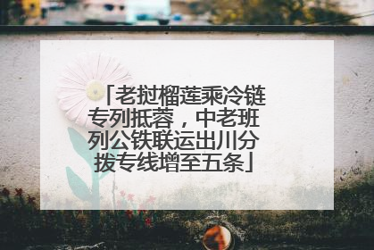 老挝榴莲乘冷链专列抵蓉，中老班列公铁联运出川分拨专线增至五条