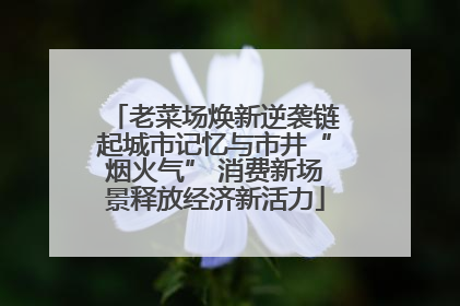 老菜场焕新逆袭链起城市记忆与市井“烟火气” 消费新场景释放经济新活力