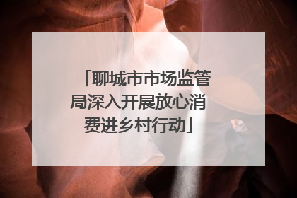 聊城市市场监管局深入开展放心消费进乡村行动