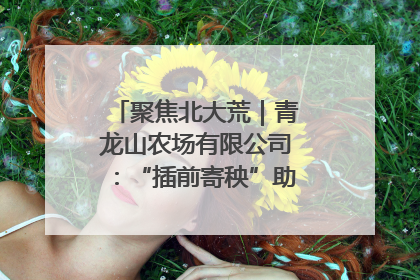聚焦北大荒｜青龙山农场有限公司：“插前寄秧”助力农业节本增效