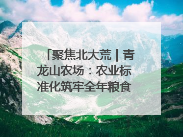 聚焦北大荒｜青龙山农场：农业标准化筑牢全年粮食安全根基