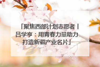 聚焦西部计划志愿者丨吕学亨：用青春力量助力打造新疆产业名片