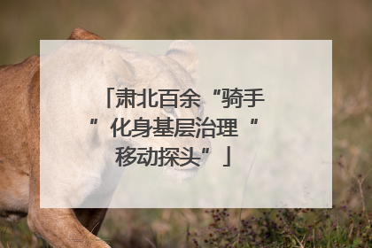 肃北百余“骑手”化身基层治理“移动探头”