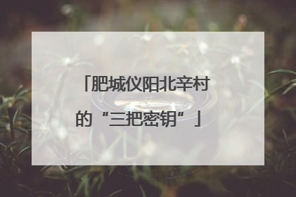 肥城仪阳北辛村的“三把密钥”