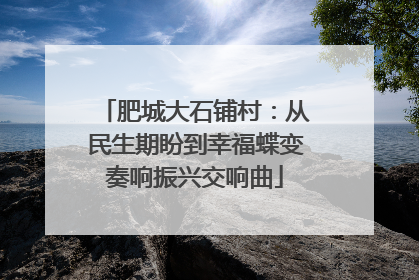 肥城大石铺村：从民生期盼到幸福蝶变奏响振兴交响曲