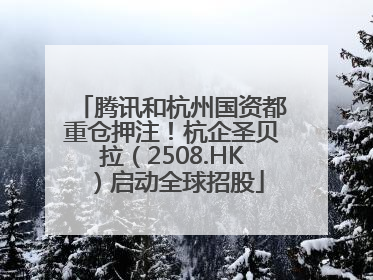 腾讯和杭州国资都重仓押注！杭企圣贝拉（2508.HK）启动全球招股