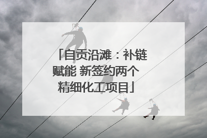 自贡沿滩：补链赋能 新签约两个精细化工项目