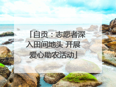 自贡：志愿者深入田间地头 开展爱心助农活动
