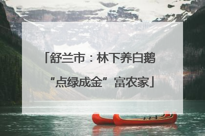 舒兰市：林下养白鹅 “点绿成金”富农家