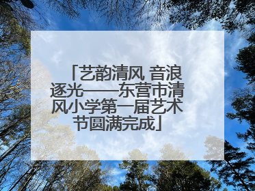 艺韵清风 音浪逐光——东营市清风小学第一届艺术节圆满完成