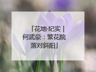 花地·纪实｜何武豪：繁花院落对斜阳