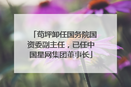苟坪卸任国务院国资委副主任，已任中国星网集团董事长