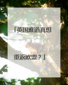英国难道真想重返欧盟？