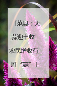 范县：大蒜迎丰收 农民增收有胜“蒜”