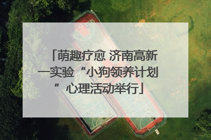 萌趣疗愈 济南高新一实验“小狗领养计划”心理活动举行