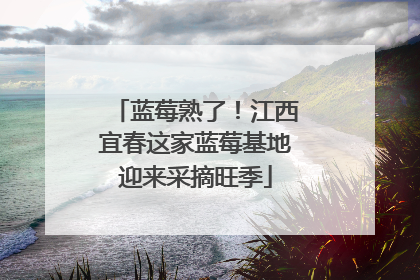 蓝莓熟了！江西宜春这家蓝莓基地迎来采摘旺季