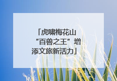 虎啸梅花山 “百兽之王”增添文旅新活力